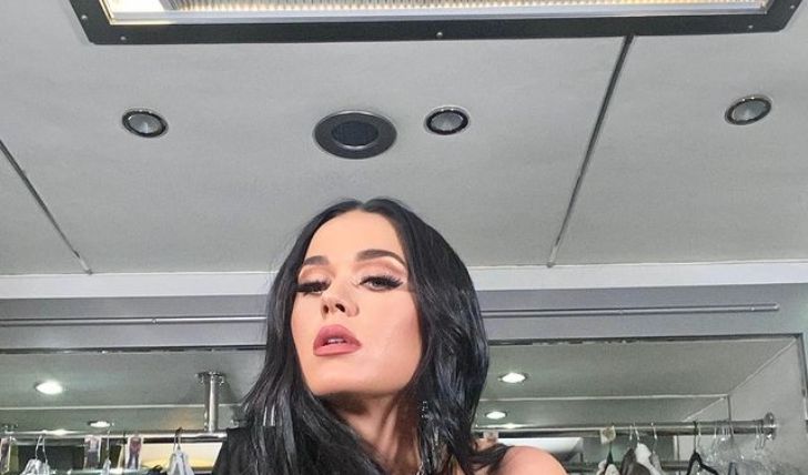 Katy Perry Poses Topless on Instagram